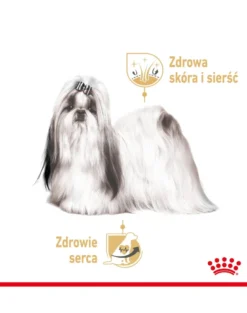 ROYAL CANIN Shih Tzu Adult Loaf umido 12 x 85 g