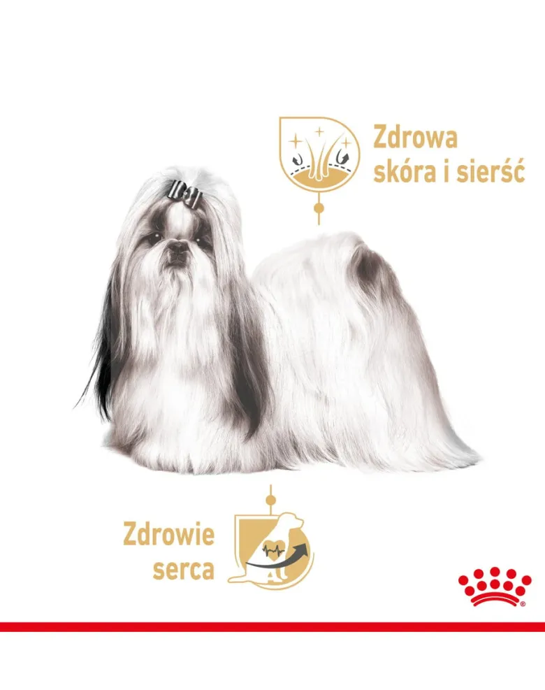 ROYAL CANIN Shih Tzu Adult Loaf umido 12 x 85 g