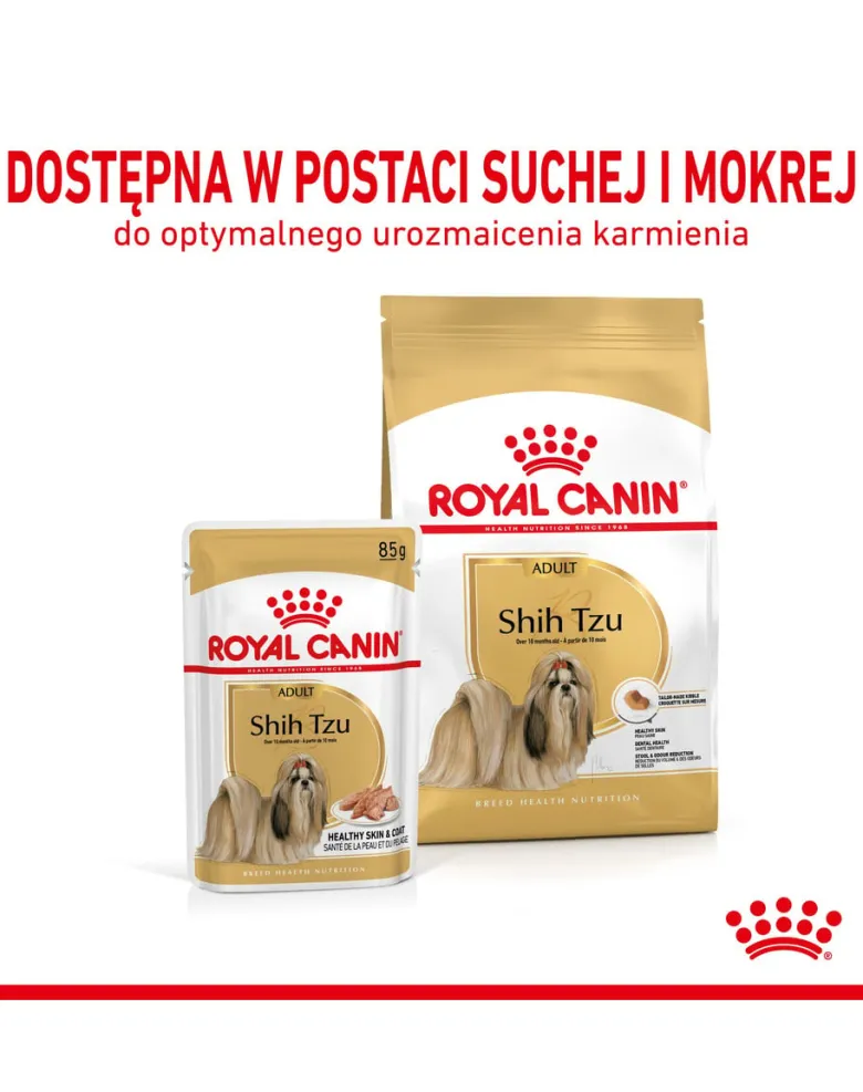 ROYAL CANIN Shih Tzu Adult Loaf umido 12 x 85 g