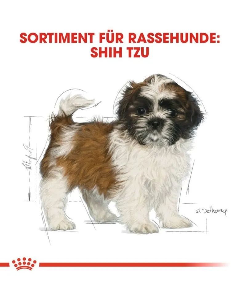 ROYAL CANIN Shih Tzu junior 1.5 kg
