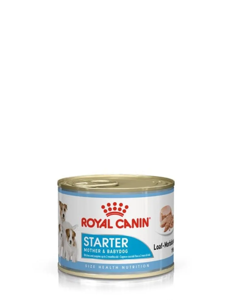 ROYAL CANIN Starter mousse 195 g