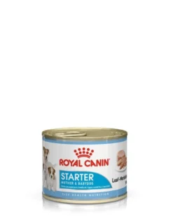 ROYAL CANIN Starter Mousse Mother & Babydog 12x195 g è indispensabile per le cagne durante la gravidanza, l'allattamento e i cuccioli