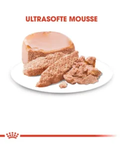 ROYAL CANIN Starter Mousse Mother & Babydog 12x195 g è indispensabile per le cagne durante la gravidanza, l'allattamento e i cuccioli
