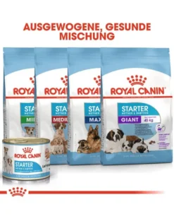 ROYAL CANIN Starter Mousse Mother & Babydog 12x195 g è indispensabile per le cagne durante la gravidanza, l'allattamento e i cuccioli