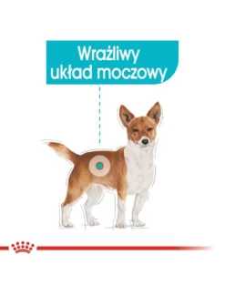 ROYAL CANIN Urinary Care 85 g x 12