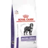 ROYAL CANIN Veterinary Senior Consult Mature Large Dogs 14 kg