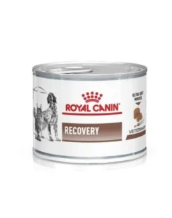 ROYAL CANIN Vet Recovery dog/cat 6 x 195g