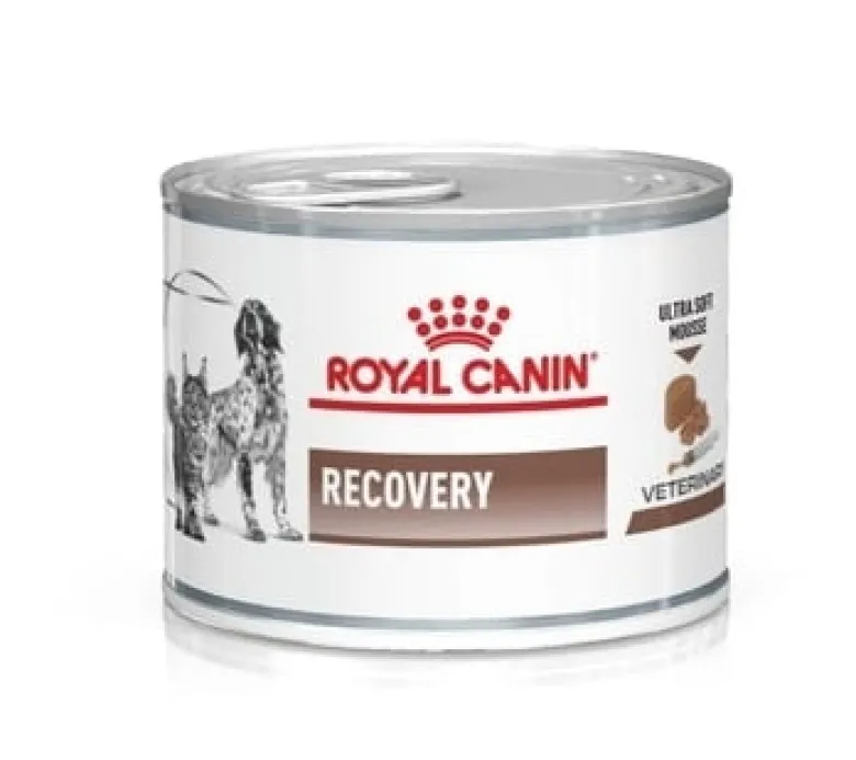 ROYAL CANIN Vet Recovery dog/cat 6 x 195g