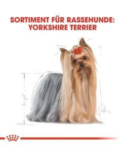 ROYAL CANIN Yorkshire Terrier Adult 7.5 kg cibo secco per cani adulti di razza yorkshire terrier