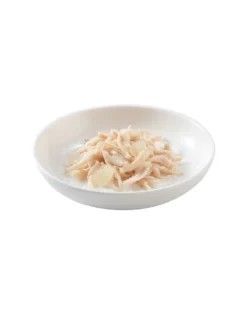 SCHESIR Pollo con Aloe Vera per gattini 85g