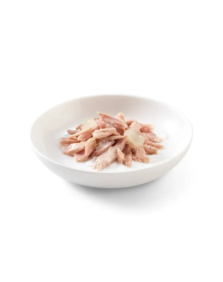 SCHESIR Tonno con Aloe Vera per gattini 85g