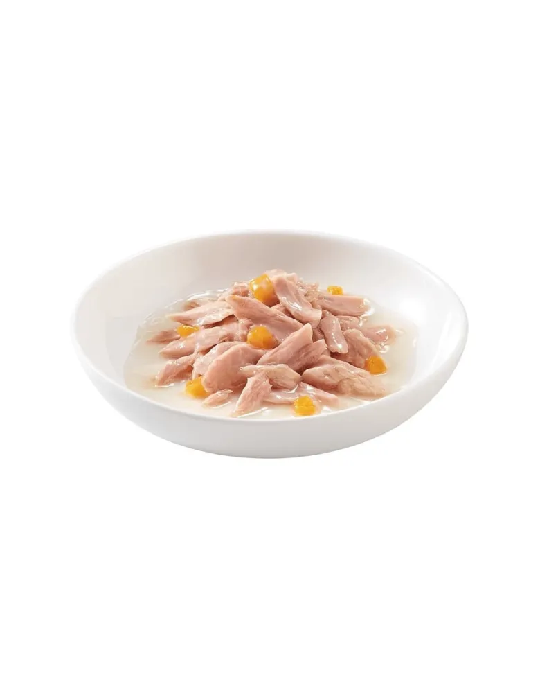 SCHESIR Tonno e zucca in brodo 70g