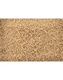 TETRA Pond Sticks 50l alimento base per i pesci da laghetto
