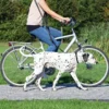 TRIXIE Guinzaglio da bicicletta e jogging