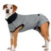 TRIXIE Indumento protettivo per cani XS: 25 cm