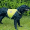 TRIXIE Panciotto di sicurezza per cani XL