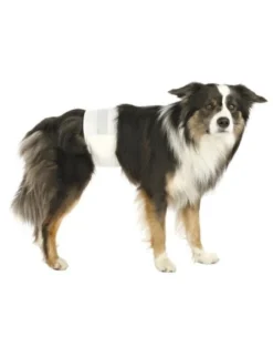 TRIXIE Pannolini a fascia per cani maschi S–M: 30–46 cm 12 pz
