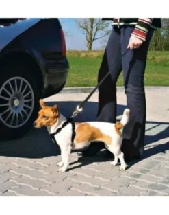 TRIXIE Pettorina per auto per cani M