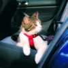 TRIXIE Pettorina per auto per gatti