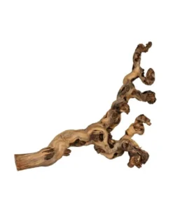 TRIXIE Tralcio levigato ad acqua 40-60cm