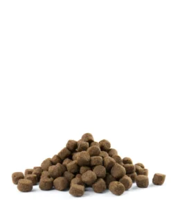 VERSELE-LAGA Adult Skin Care Medium & Maxi - Alimento per adulti per cani di taglia media e grande con pelle sensibile 12,5 kg
