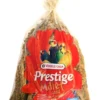 VERSELE-LAGA Milletsprays 300g Panico giallo in spighe