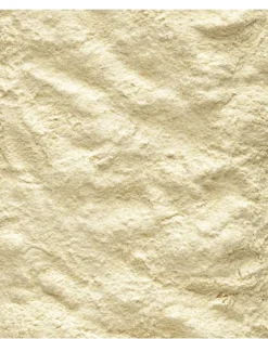VERSELE-LAGA NutriBird A21 3 kg mangime per l'allevamento dei pulcini