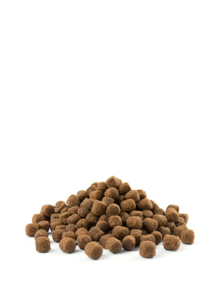 VERSELE-LAGA Senior Mini - Cibo per cani adulti di piccola taglia e miniatura 7,5 kg Pollame