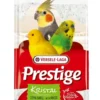 VERSELE-LAGA Shell sand kristal Sabbia di conchiglie 25 kg