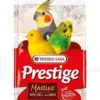 VERSELE-LAGA Shell Sand Marine 5 kg