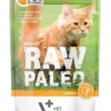 VETEXPERT RAW PALEO Adult turkey 100 g