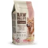 VET EXPERT RAW PALEO Heathy Grain Adult Salmon 10kg con salmone per cani adulti