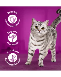 WHISKAS Adult in bustina 85g Alimento umido con manzo in salsa per gatti adulti