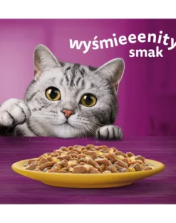 WHISKAS Adult in bustina 28x85g Alimento umido con pollo in gelatina per gatti adulti