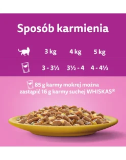 WHISKAS Adult in bustina 28x85g Alimento umido con pollo in gelatina per gatti adulti
