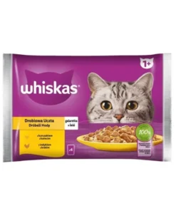 WHISKAS Adult in bustina 52x85g cibo umido con pollo e tacchino in gelatina per gatti adulti
