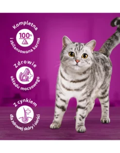 WHISKAS Adult Tasty Mix 12x85g Variazioni cremose con pollo e verdure, agnello e tacchino in salsa