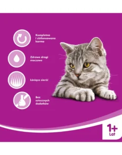WHISKAS Cibo umido con tonno in gelatina 24x400g