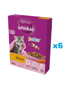 WHISKAS Junior 6x300g alimento secco completo con delizioso pollo per gattini