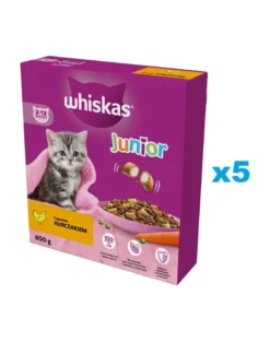 WHISKAS Junior 5x800g Alimento secco completo per gattini con delizioso pollo