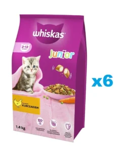 WHISKAS Junior 6x1,4kg alimento secco completo con pollo per gattini