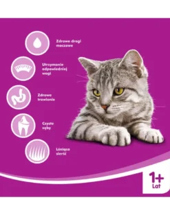 WHISKAS Sterile 6x1,4kg Alimento secco con pollo per gatti adulti sterilizzati